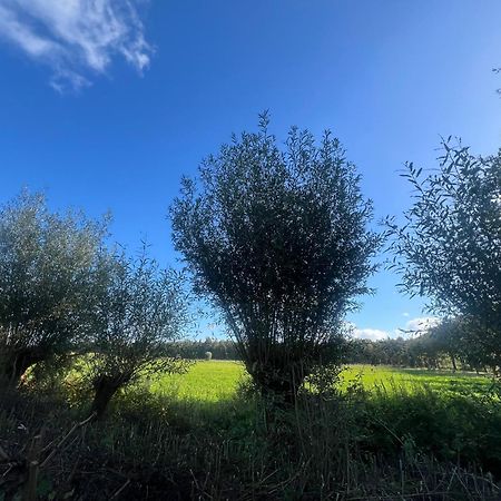Aldoerrum Hoevelogementen Aarle-Rixtel Dış mekan fotoğraf